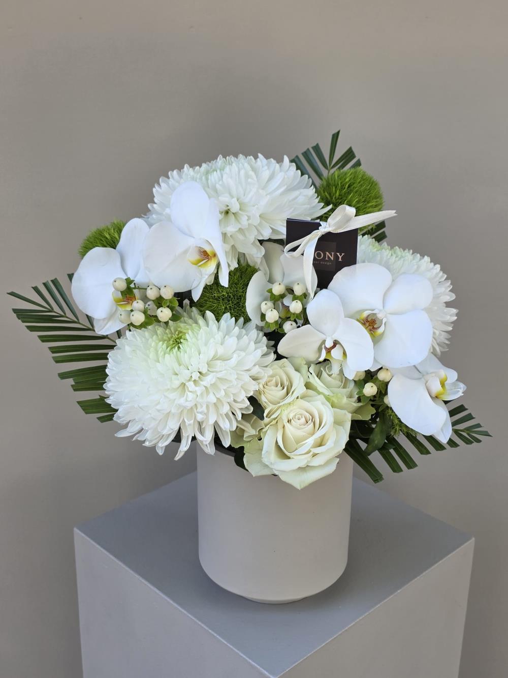Pristine White Grace